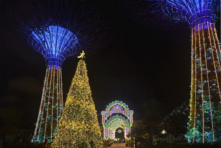 Singapore’s Christmas Wonderland at Gardens by the Bay | News and Events by Maison Valentina ...
