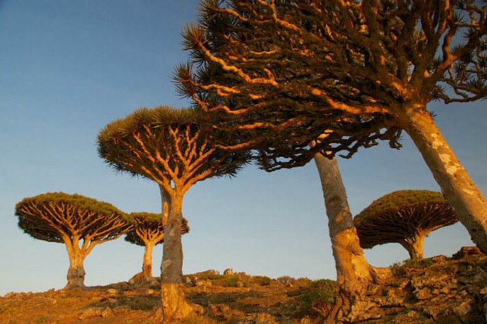 most paradise destinations for your holidays 2015