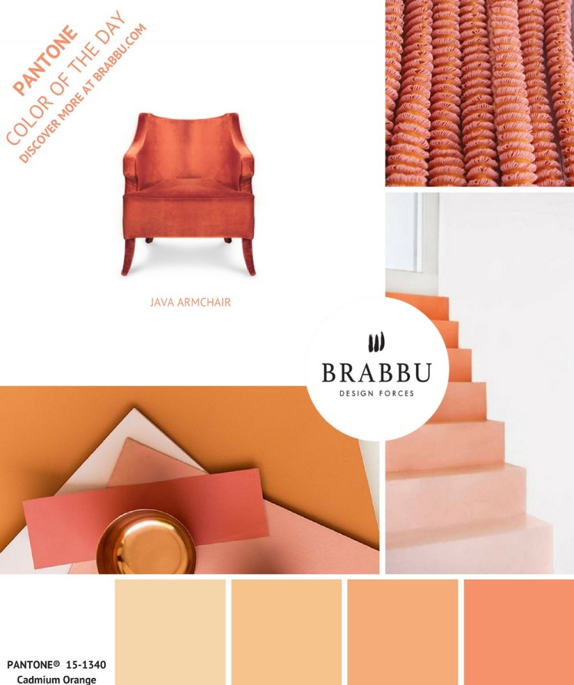 Colors Will Inspire You In 2019, color trends, pantone, pantone 2019, brabbu, maison valentina