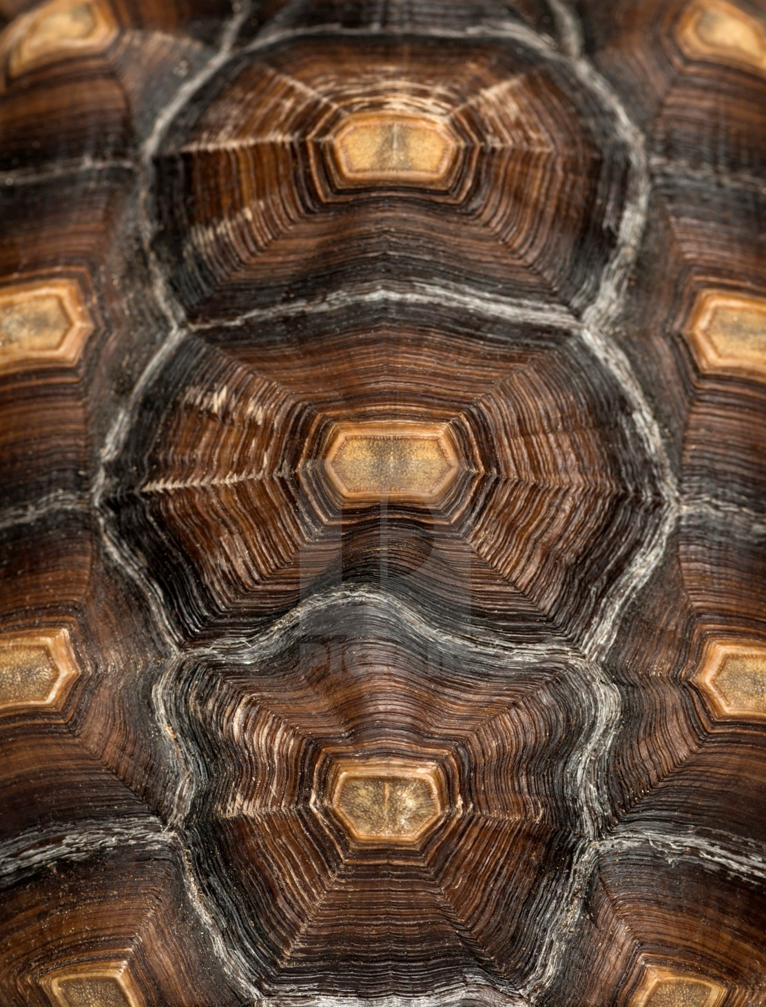 Tortoise Collection, maison valentina, bathroom, bathroom decoration, interior design